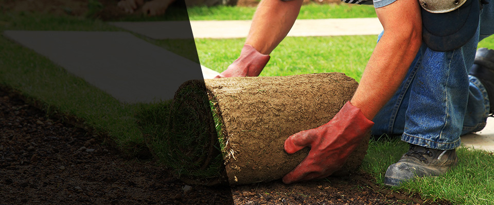 Ghent Landscapers